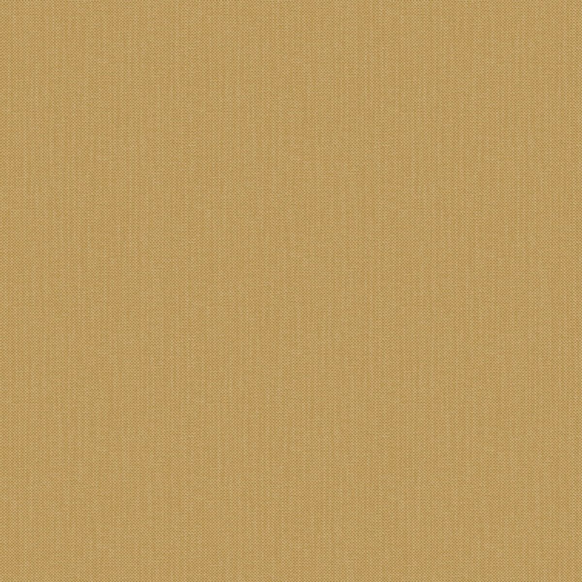 Natte 2 — Camel