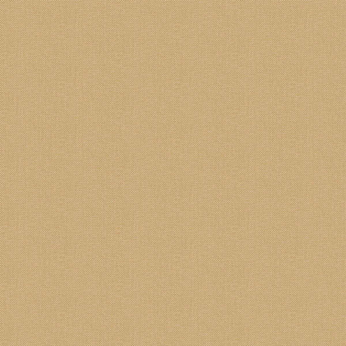 Natte 2 — Camel