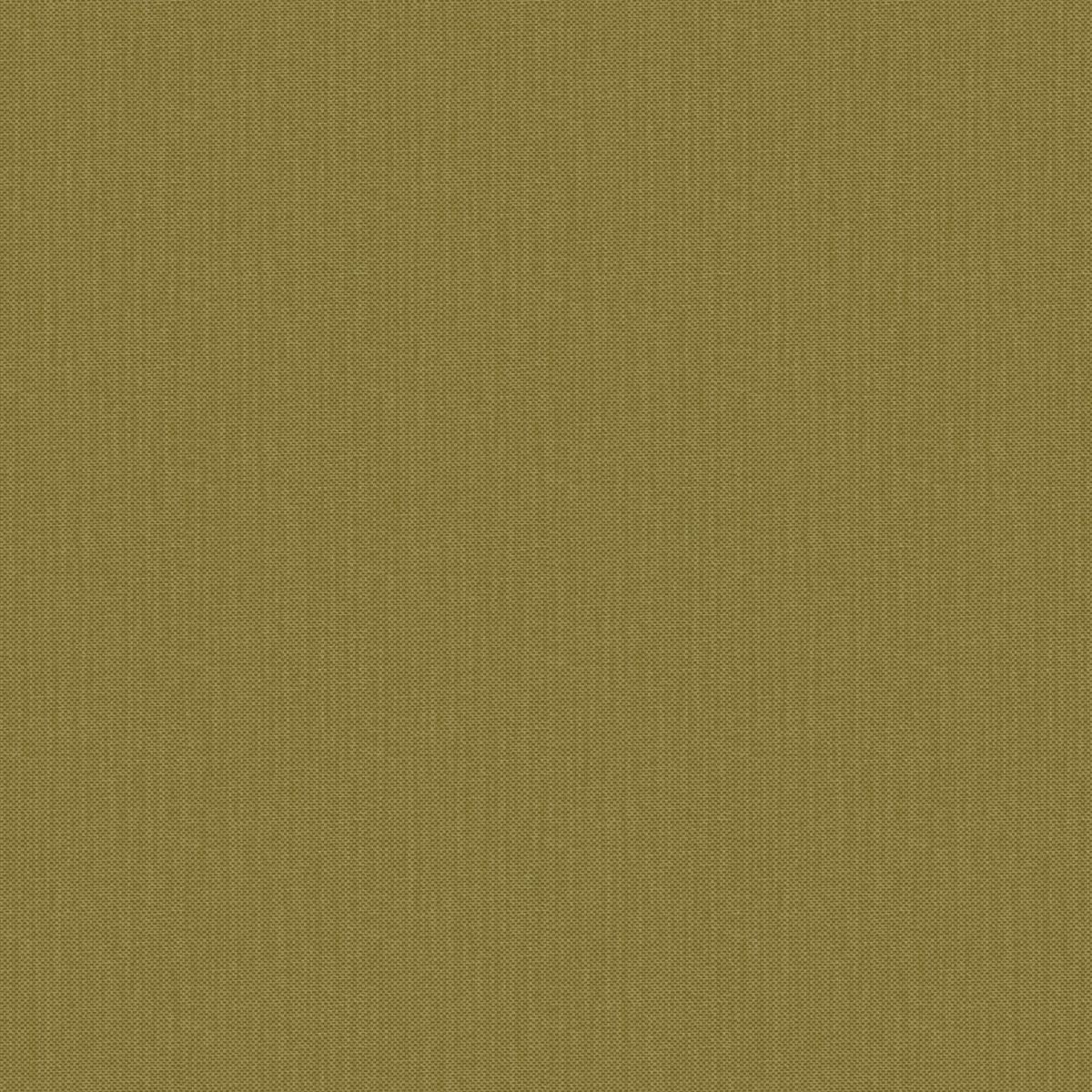 Natte 2 — Olive