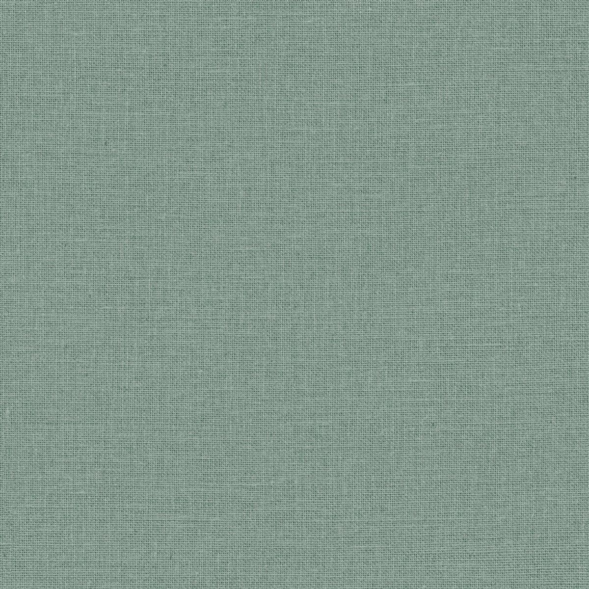 Jute — Eucalyptus