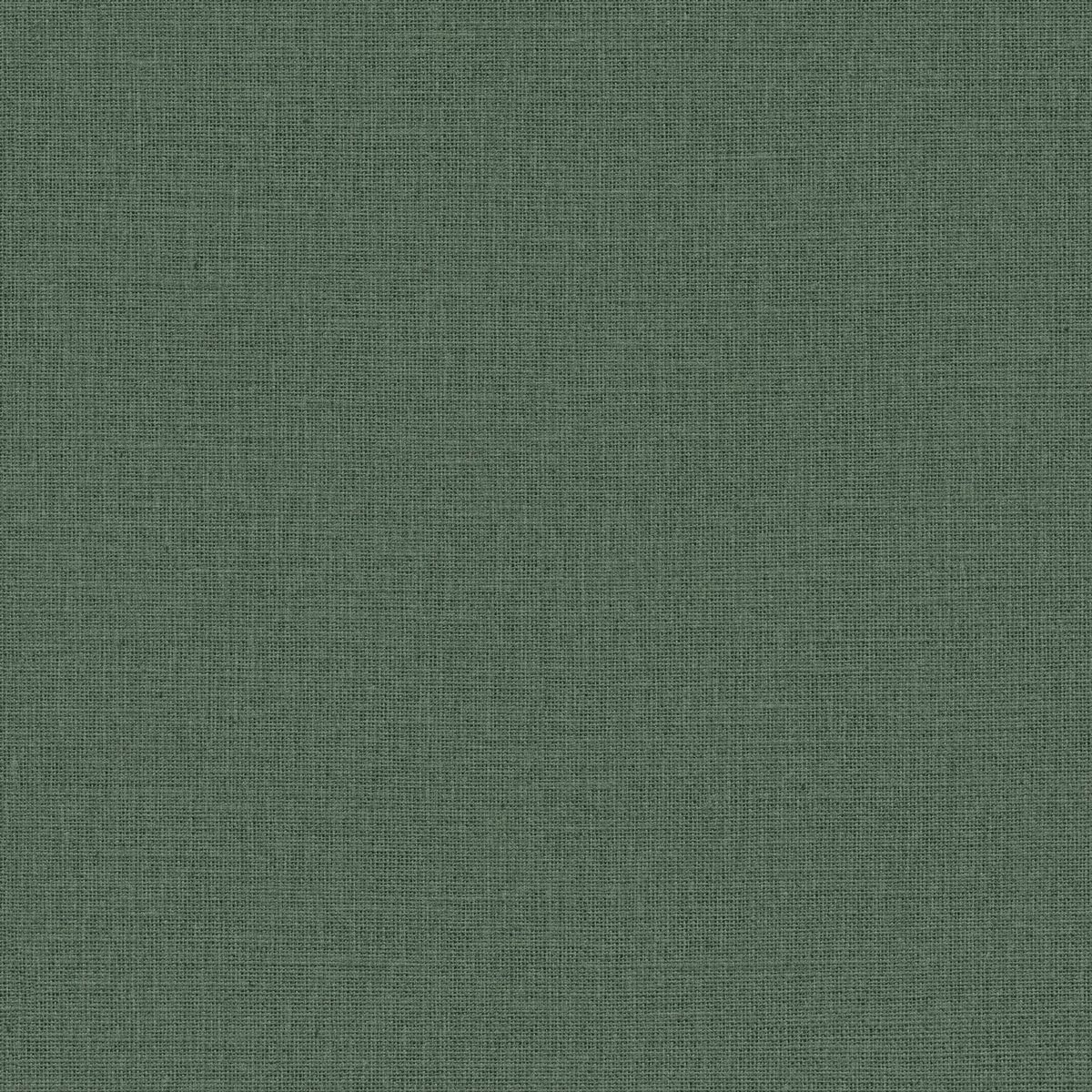 Jute — Forest