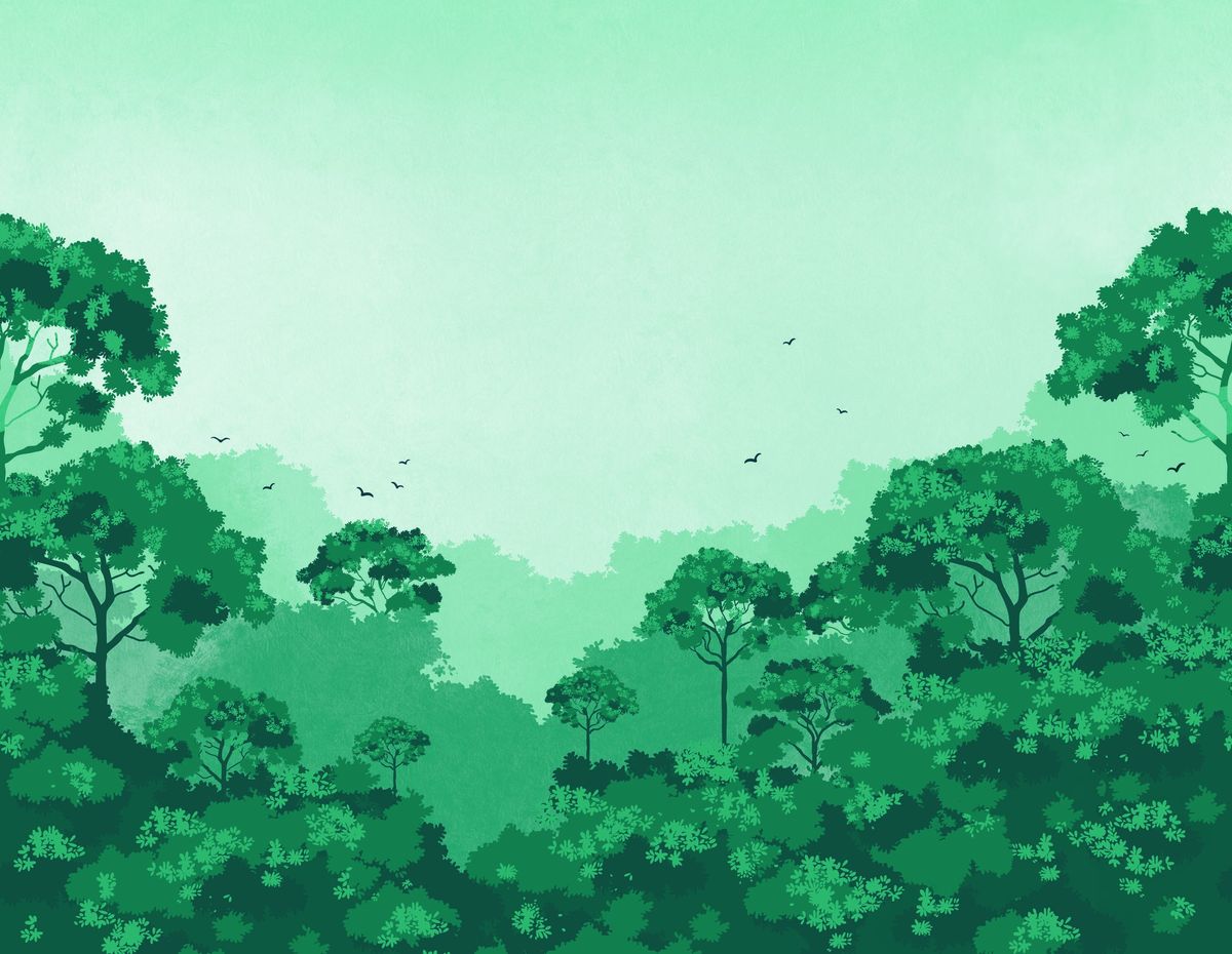 Pimp My Wall Mural — Mint