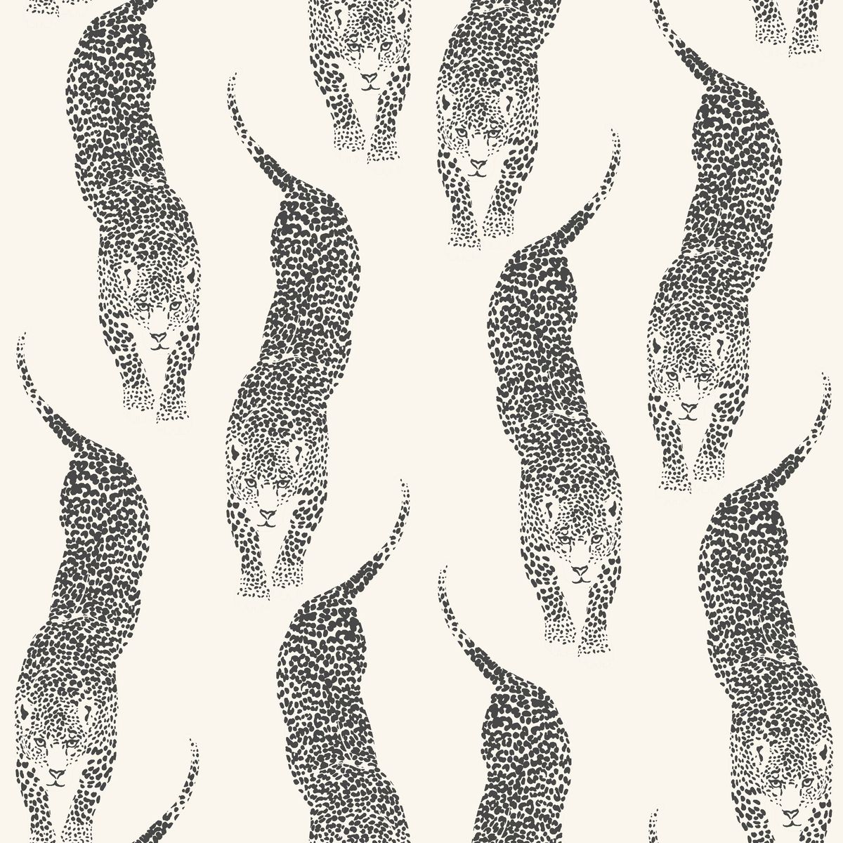 Wild — Dove