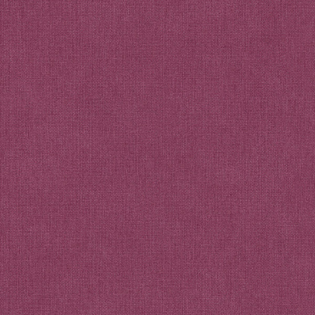 Damier — Plum