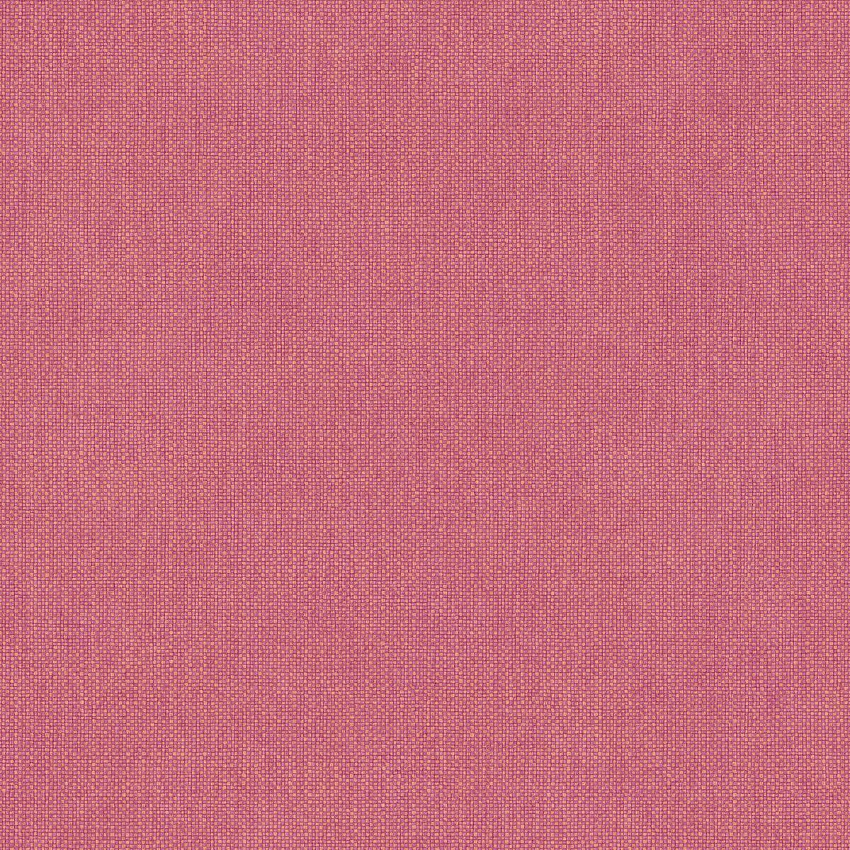 Damier — Coral