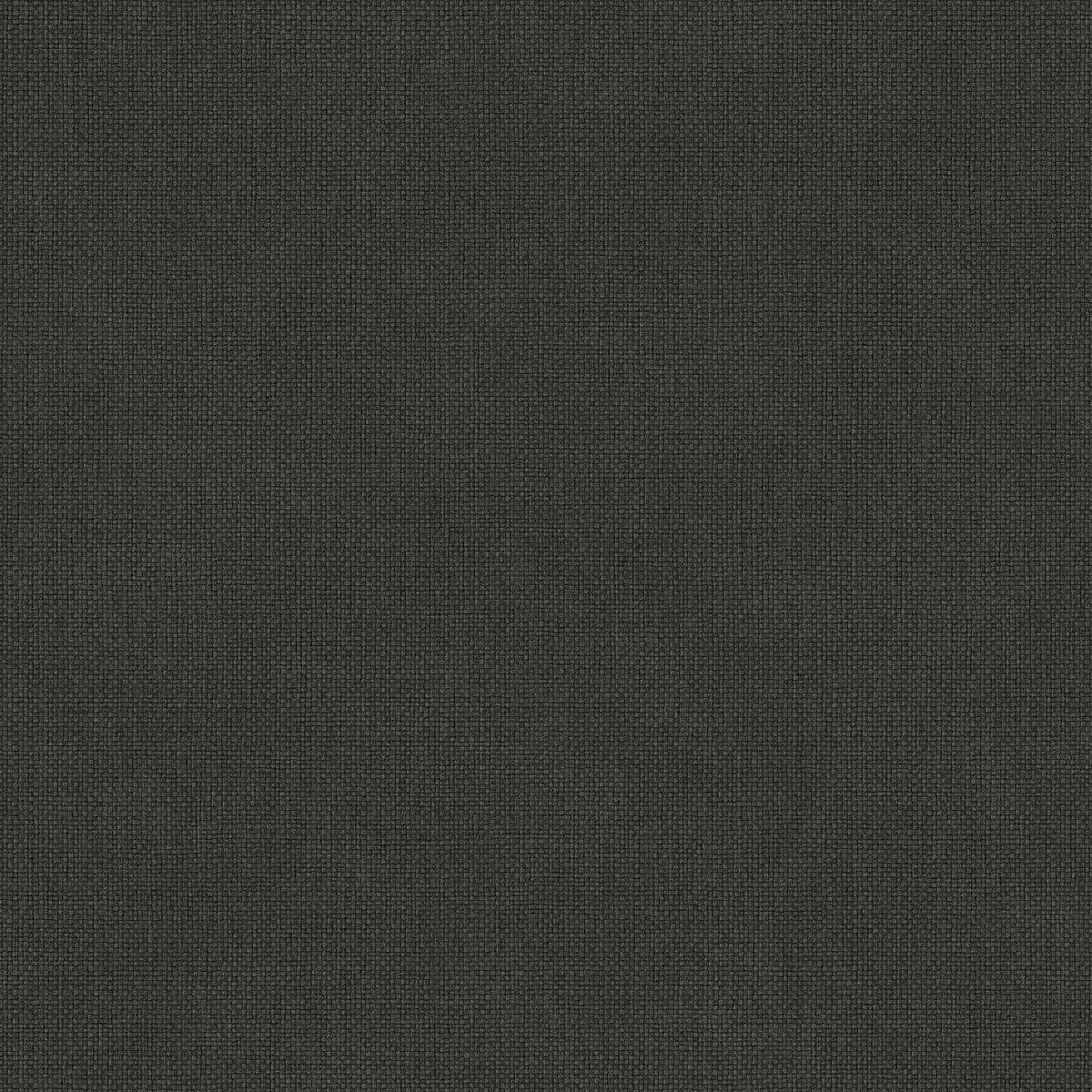 Damier — Charcoal
