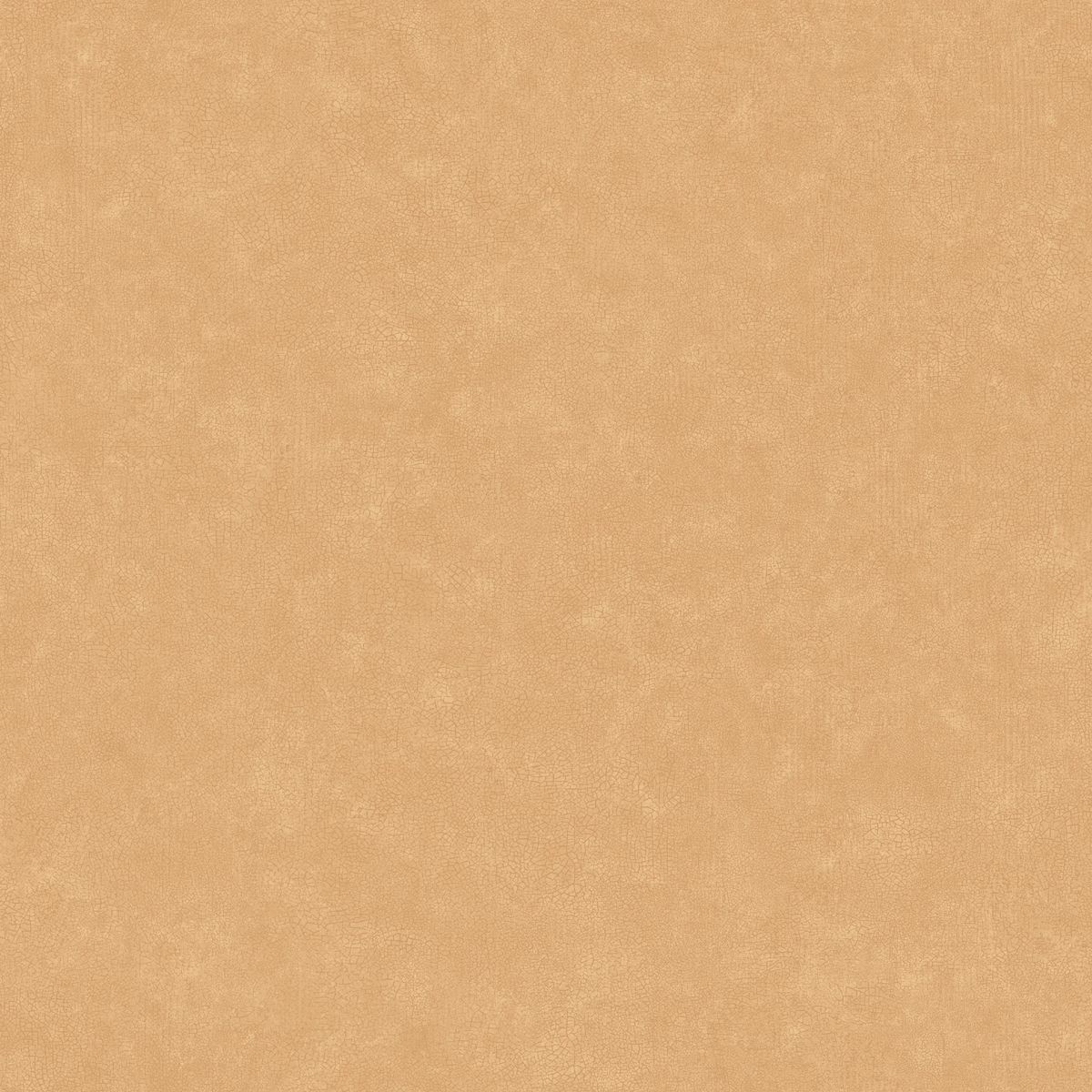 Ceramique — Camel