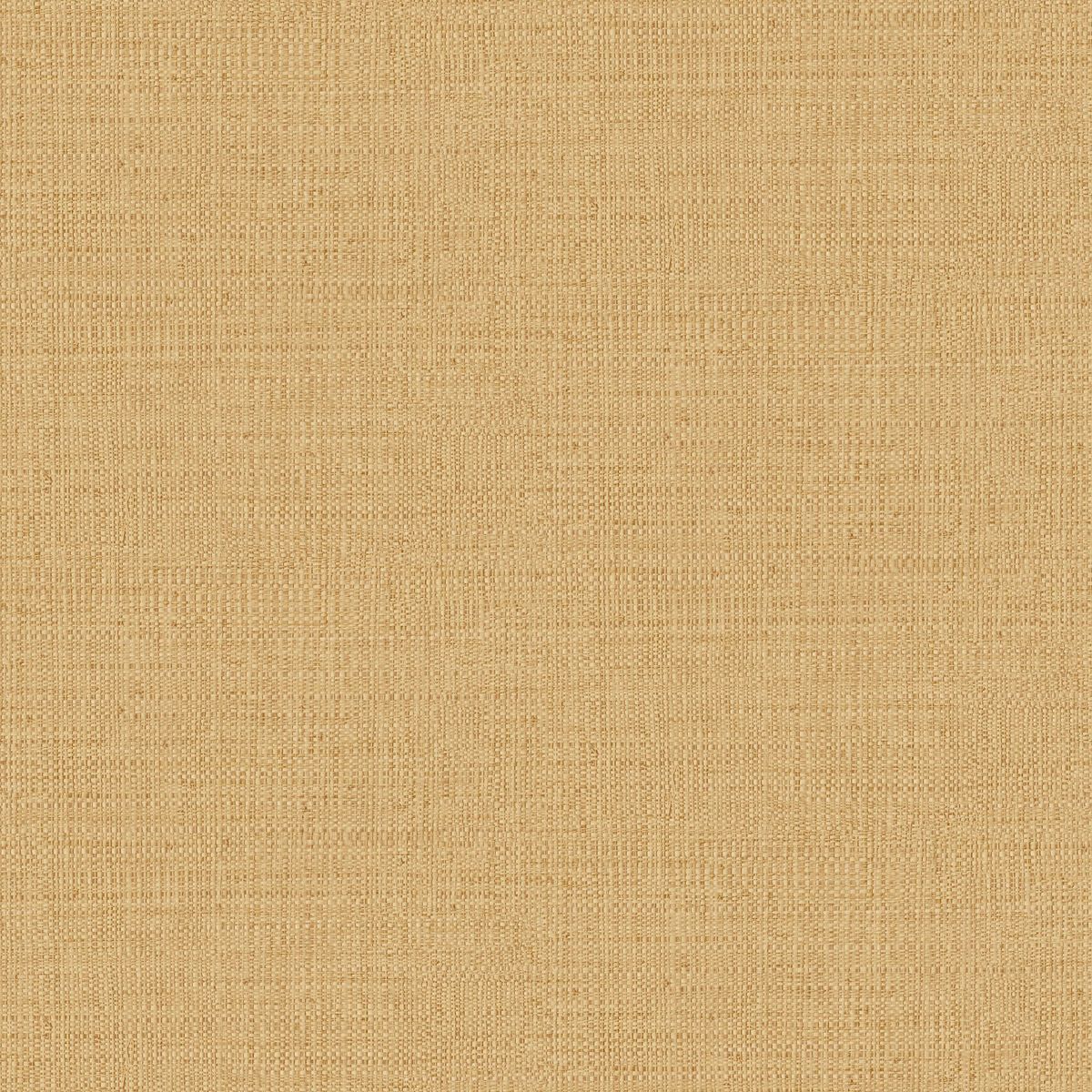 Matieres — Camel