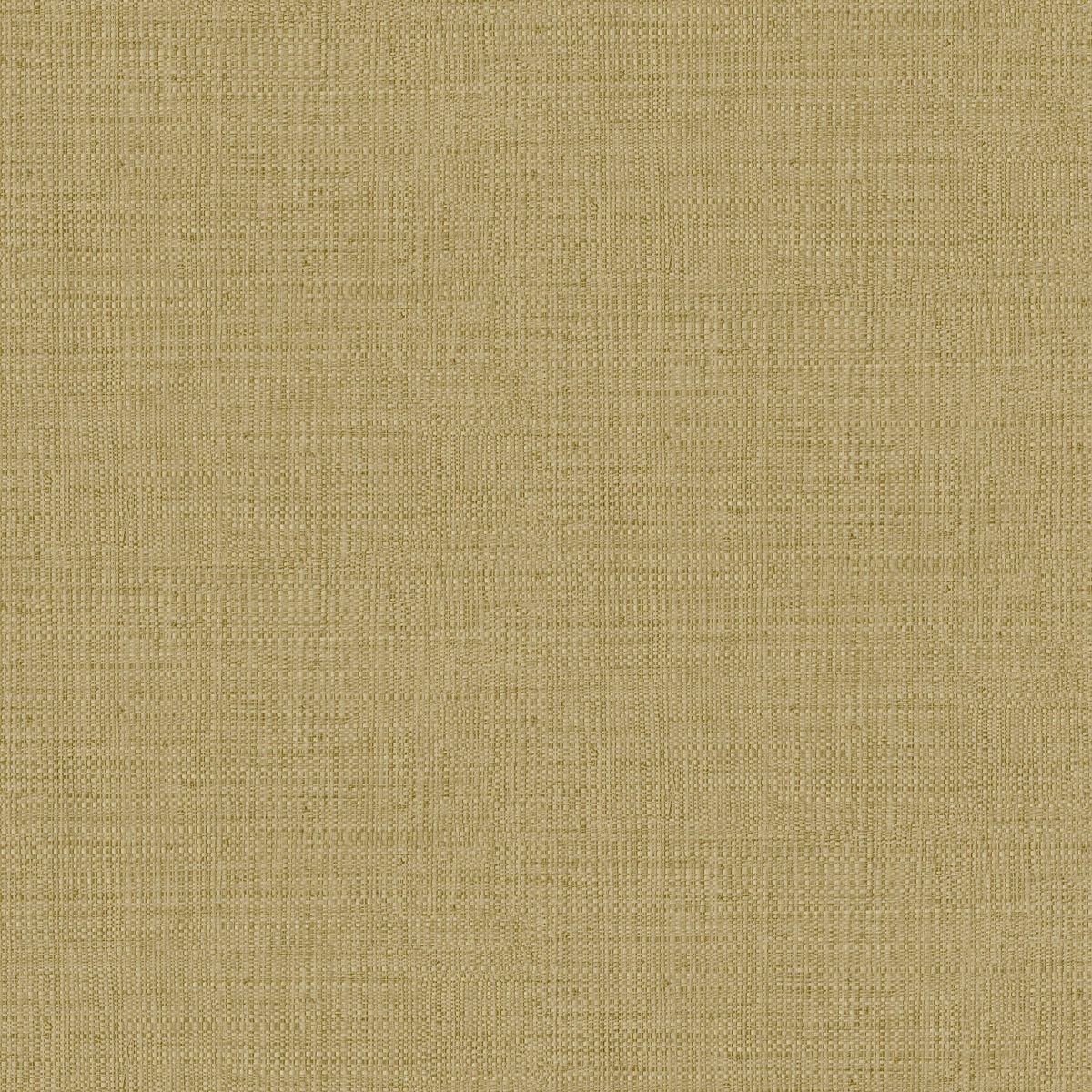 Matieres — Camel