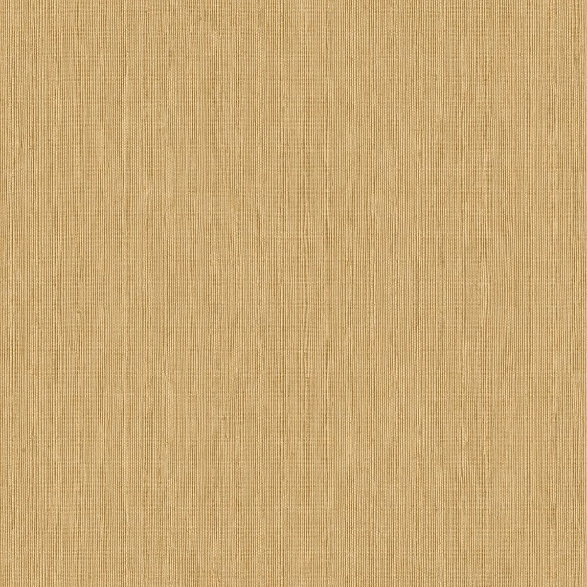 Matieres — Camel