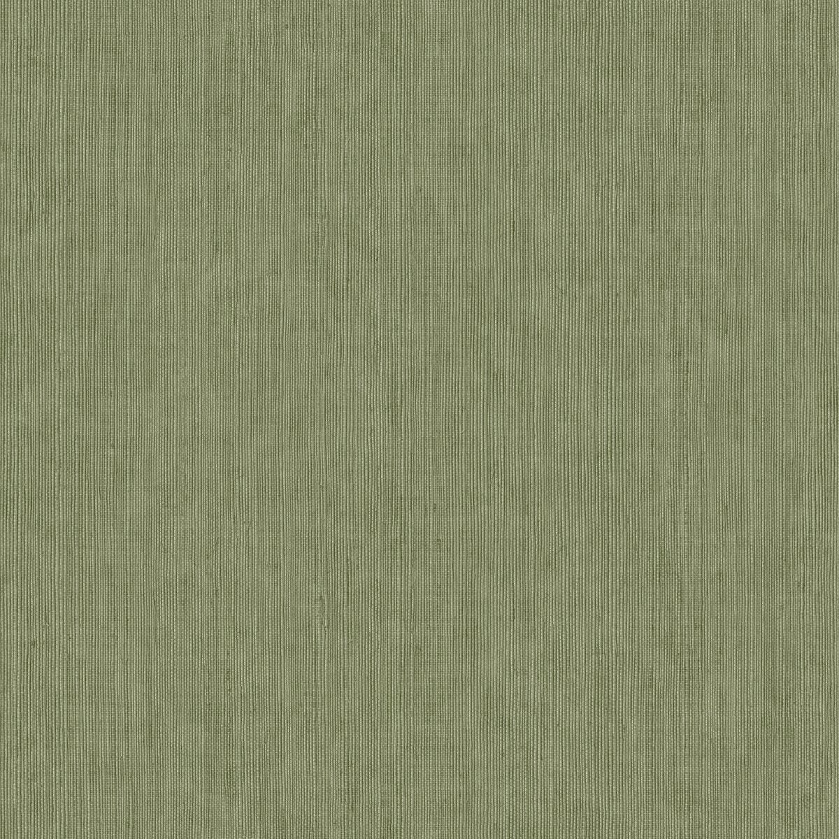 Matieres — Olive