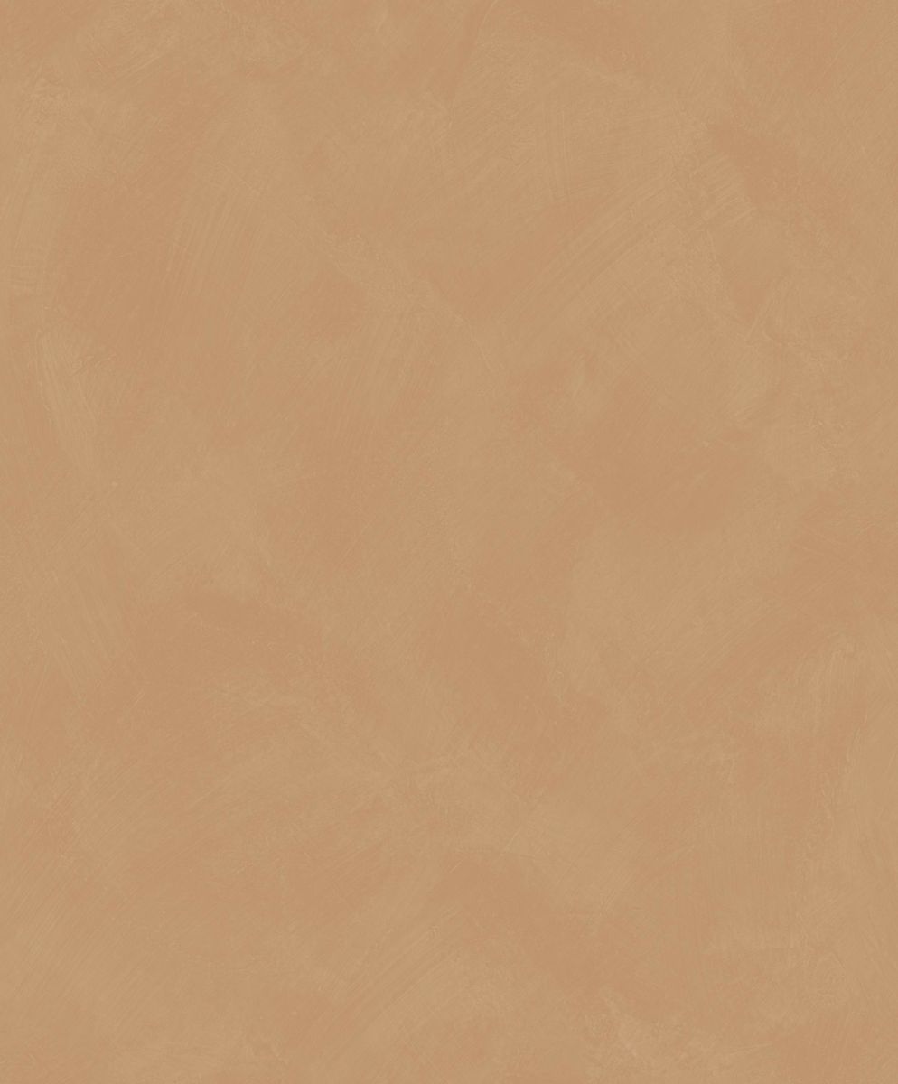 Origine — Camel