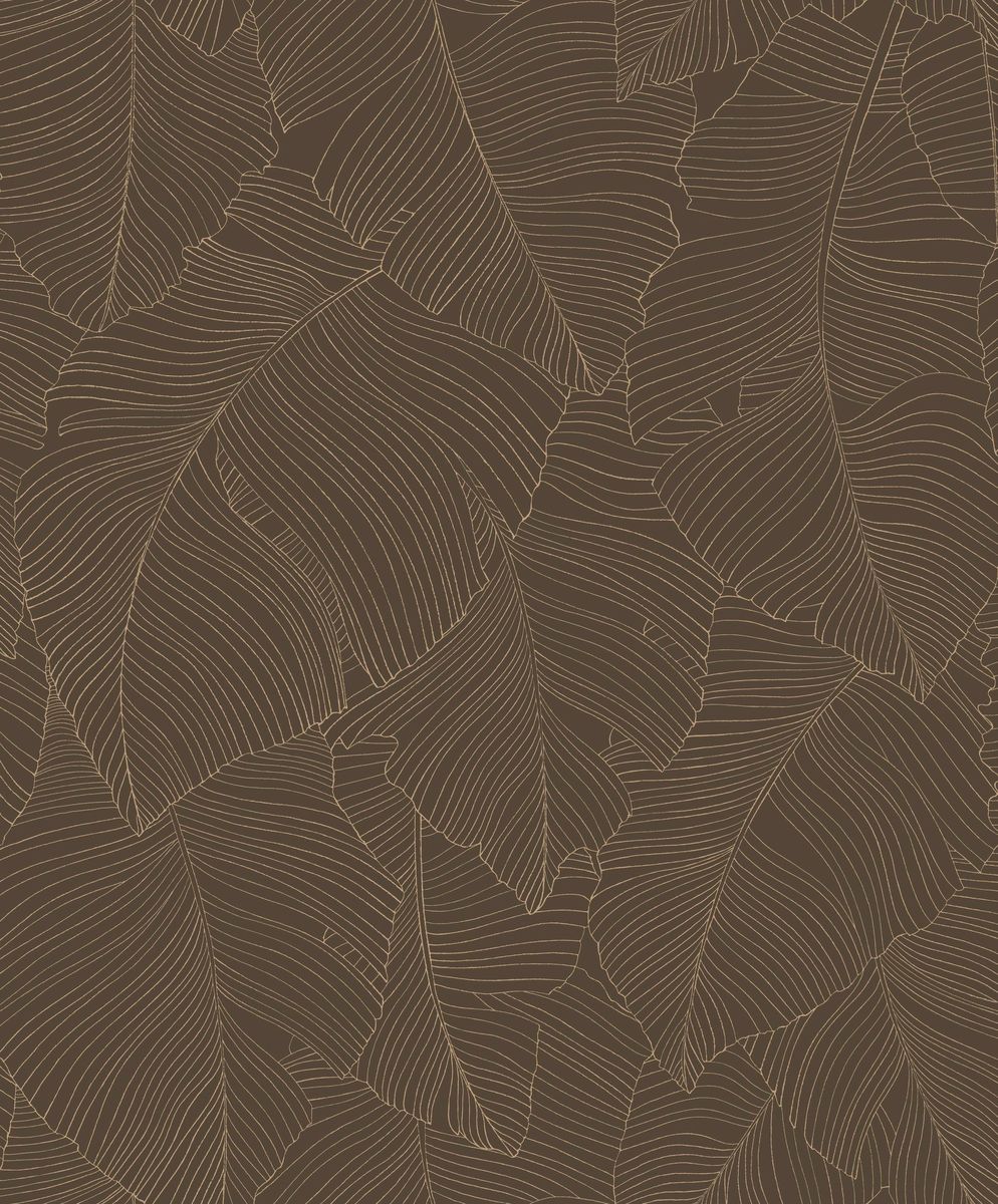 Moonlight 3 — Chocolate