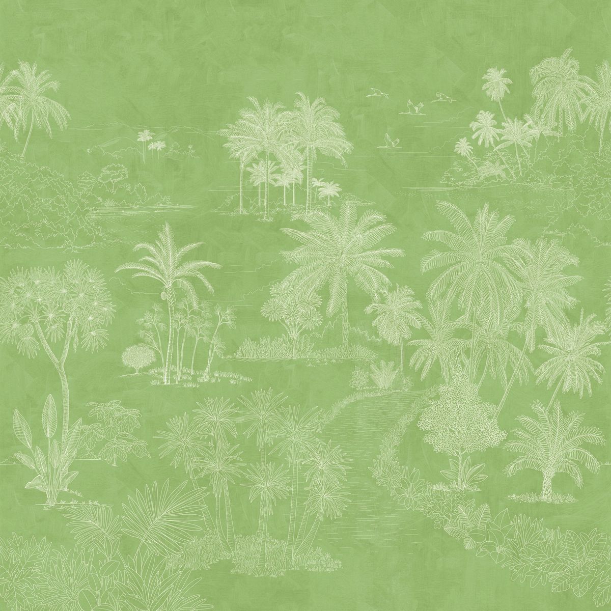 Borneo — Sage
