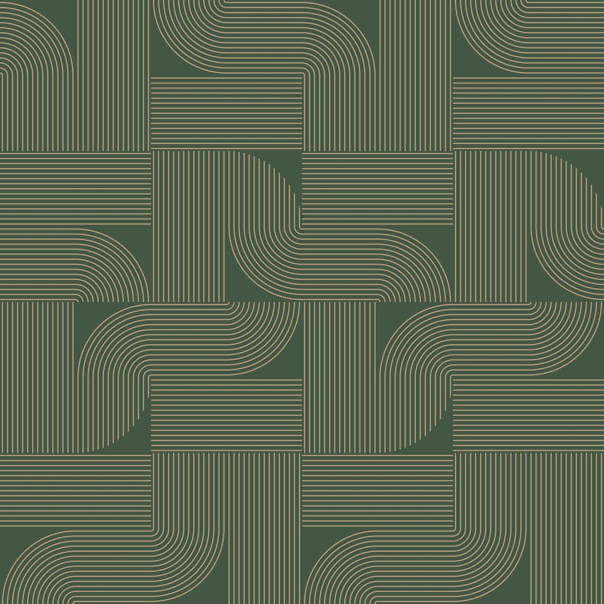 Light — Forest