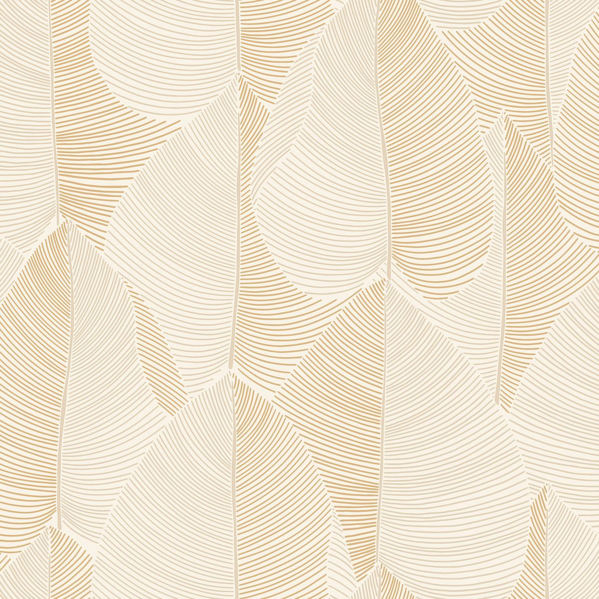 Light — Cream