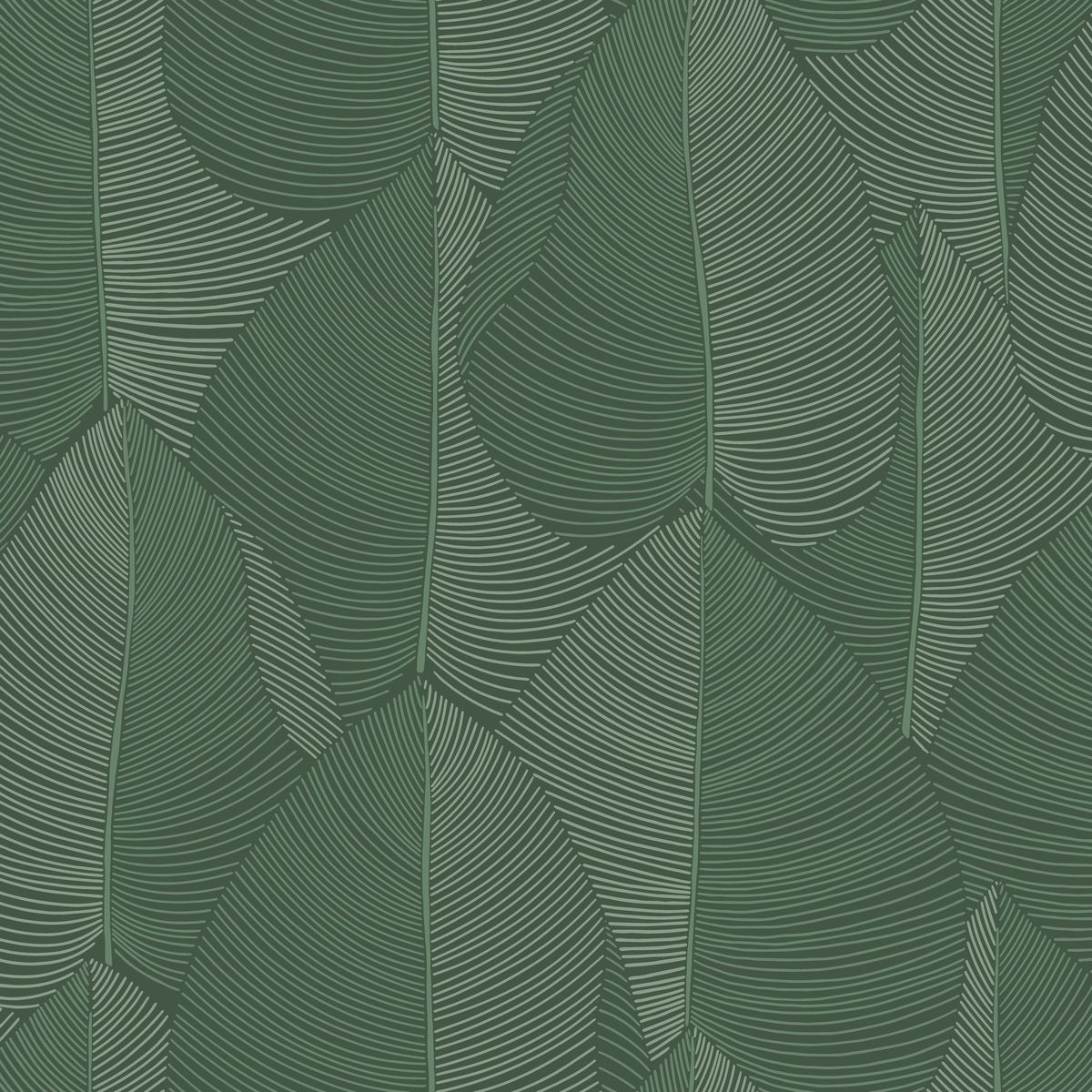 Light — Forest
