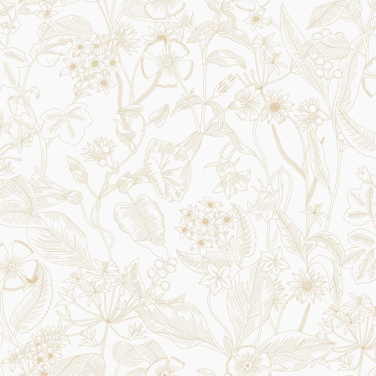 Light — White