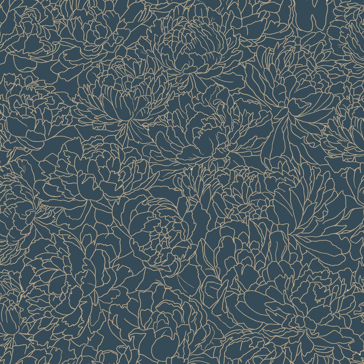 Light — Graphite