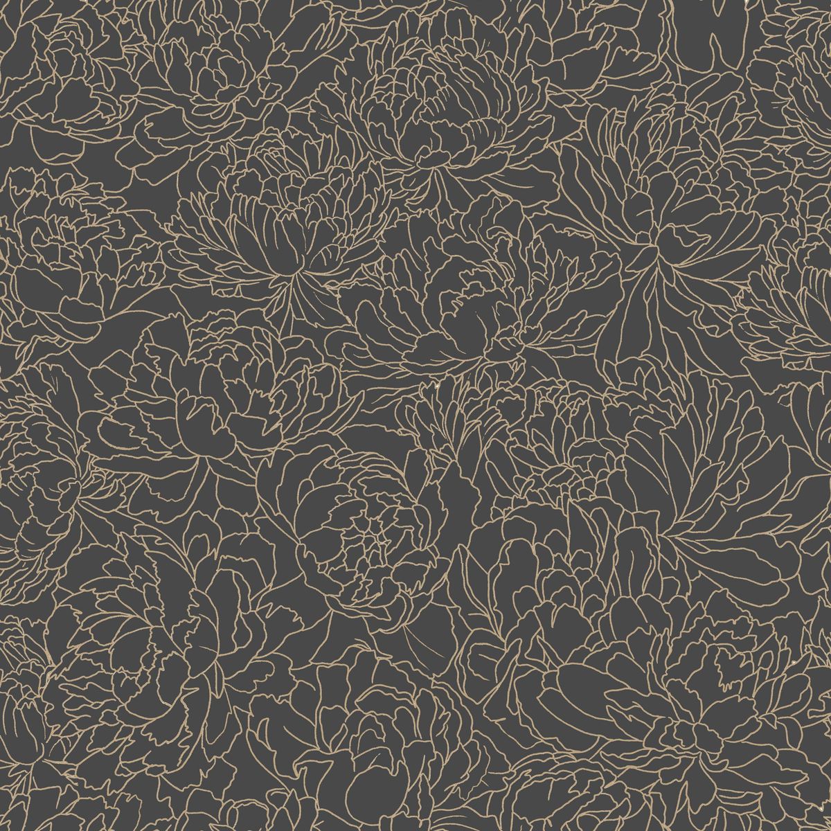 Light — Graphite