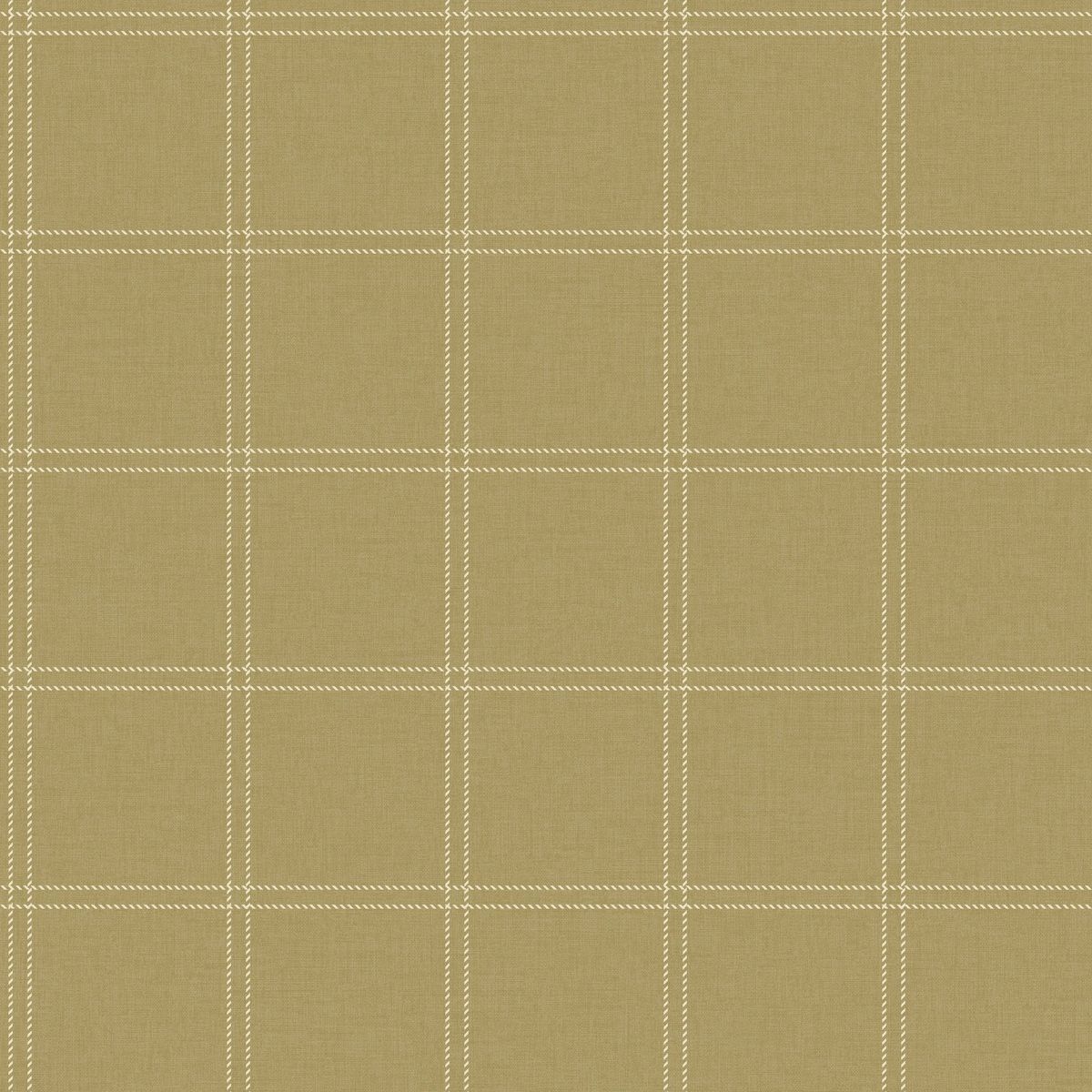 Line Up — Camel