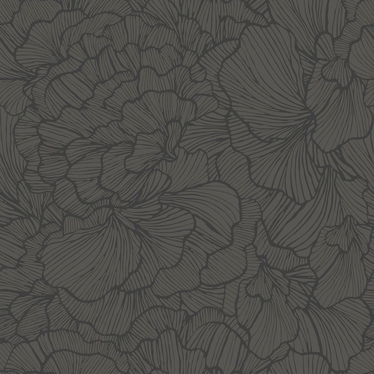 Moonlight 3 — Graphite