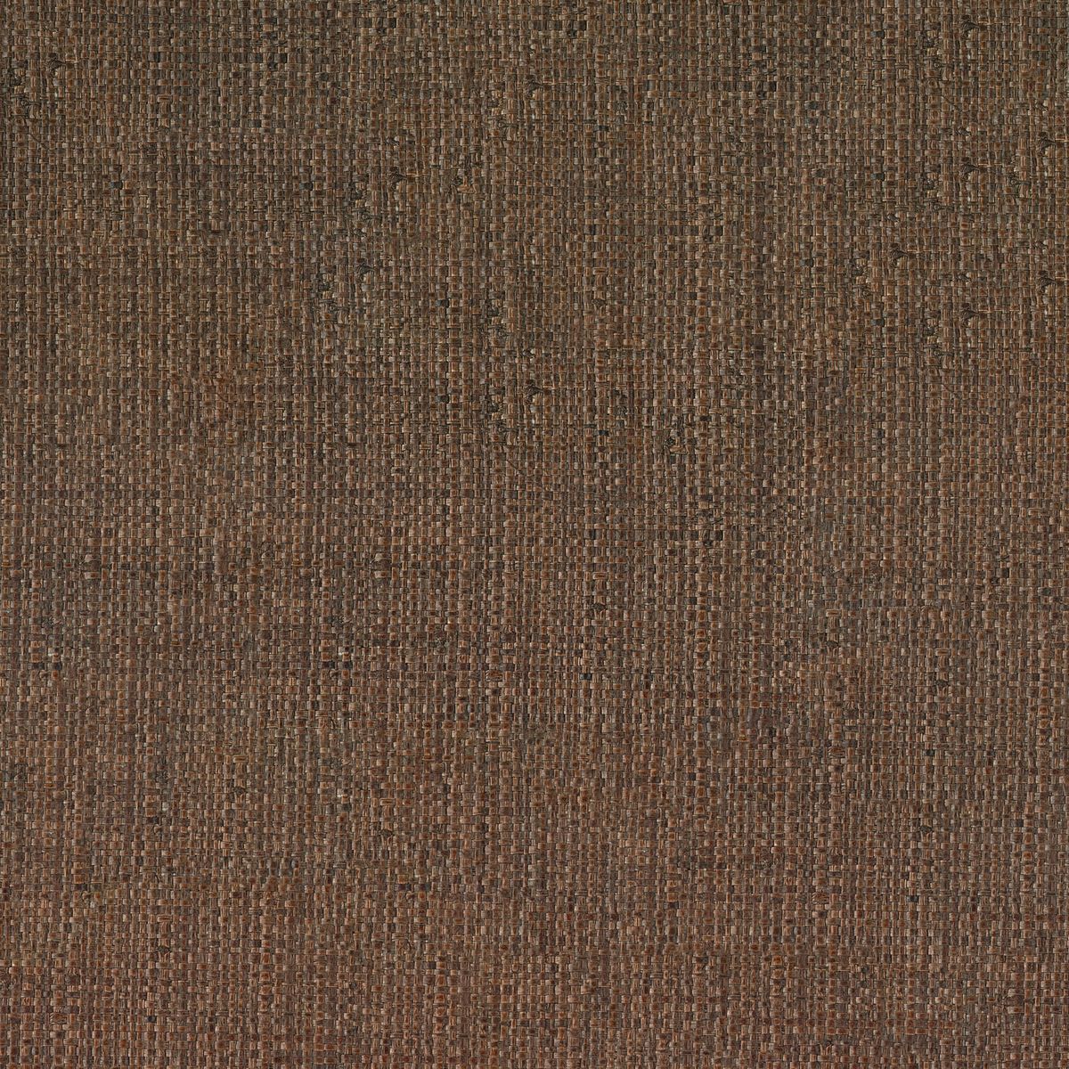 Tramis — Chocolate