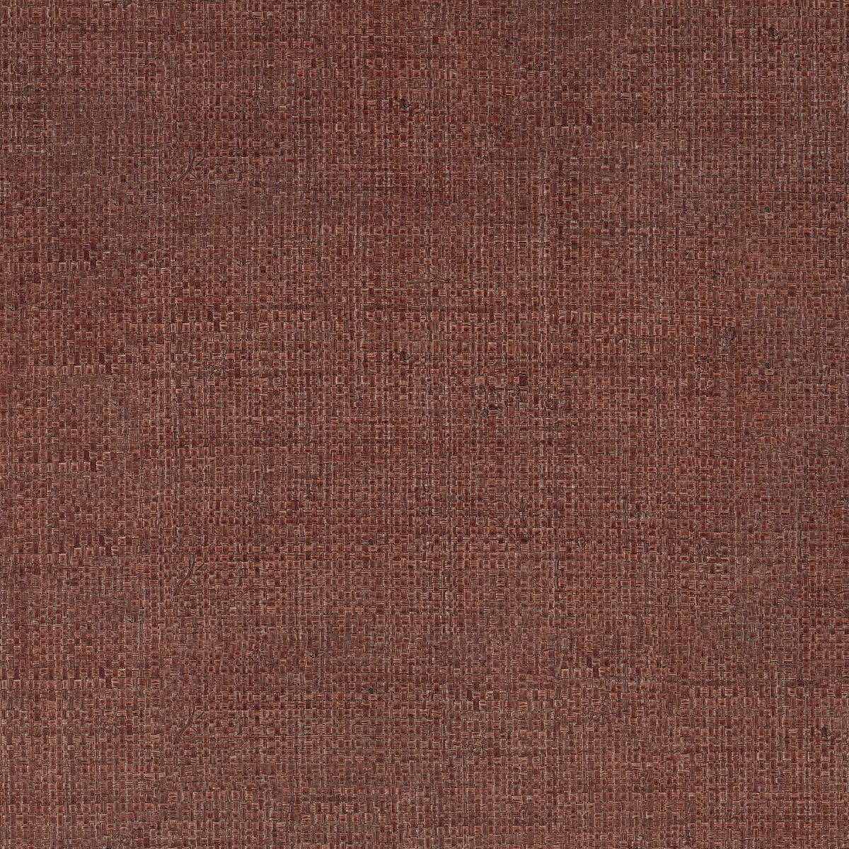 Tramis — Chocolate