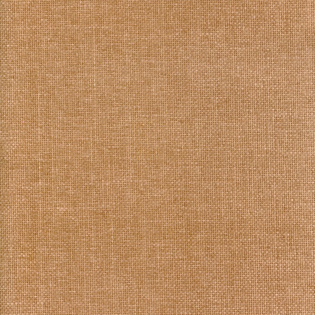 Tramis Kira — Camel