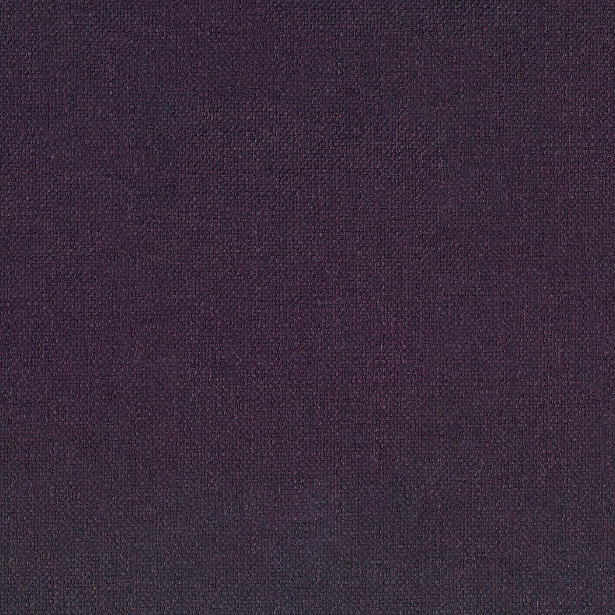 Tramis Kira — Aubergine