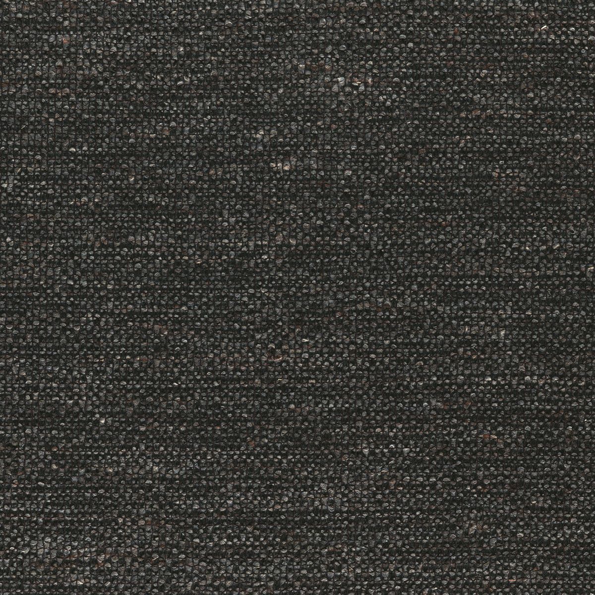Sensation — Charcoal