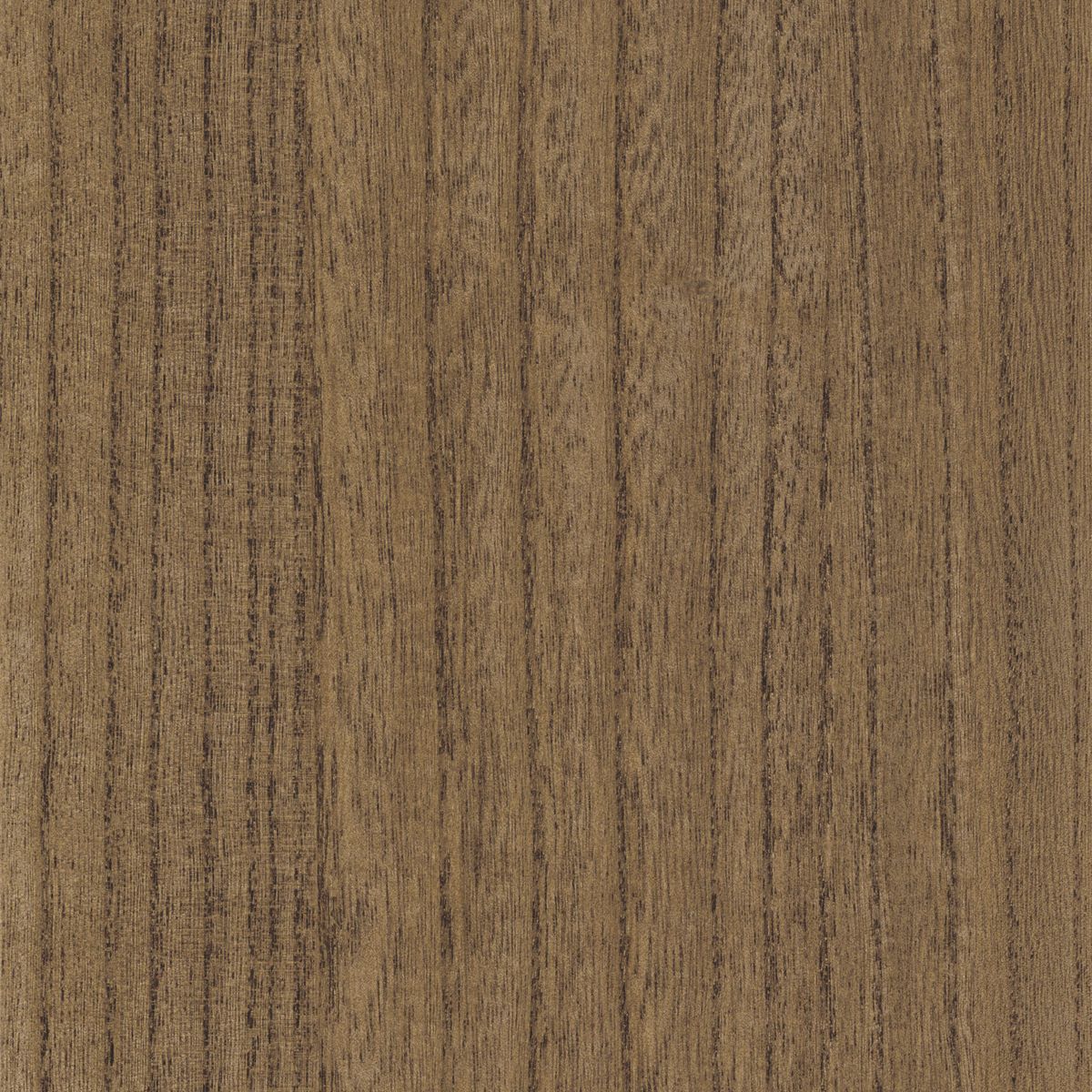 Traversée Ebony — Chestnut