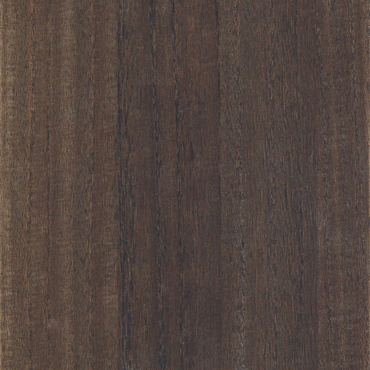 Traversée Ebony — Charcoal
