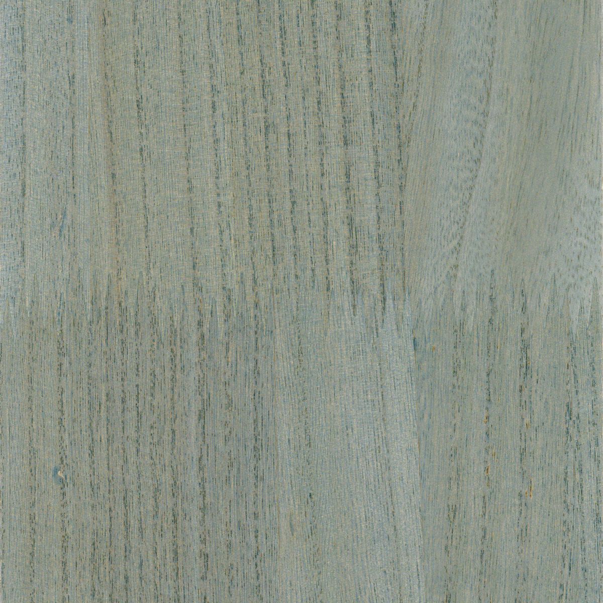 Traversée Ebony — Eucalyptus