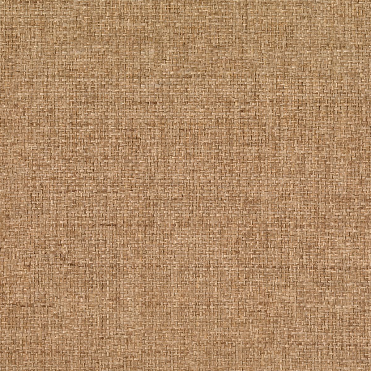Tramis — Camel