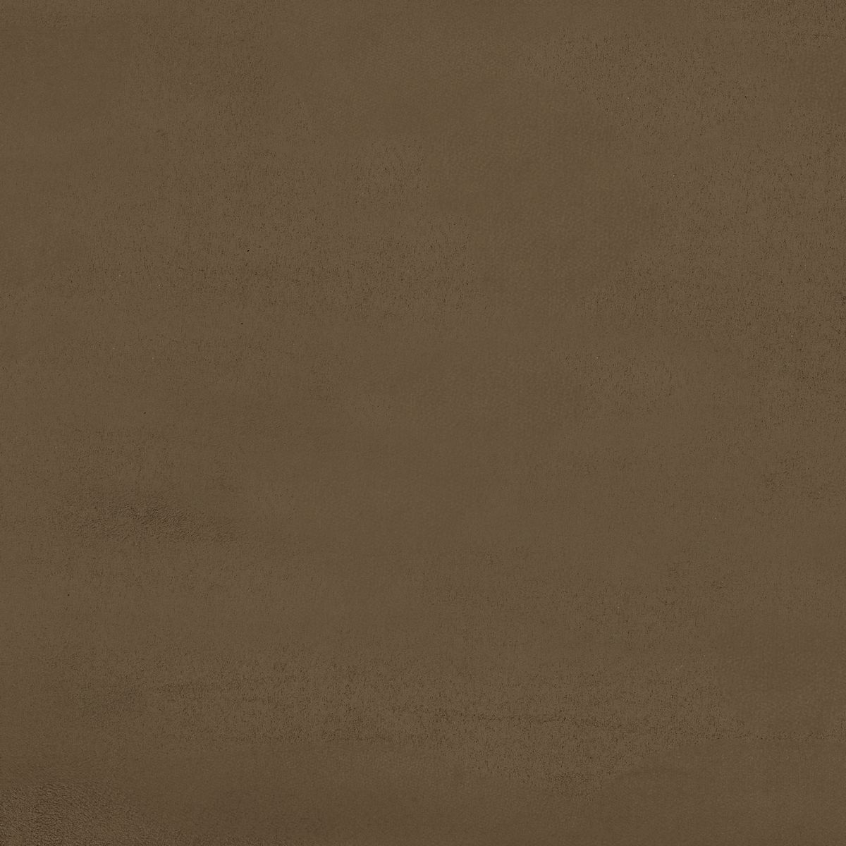 Odeon — Chocolate