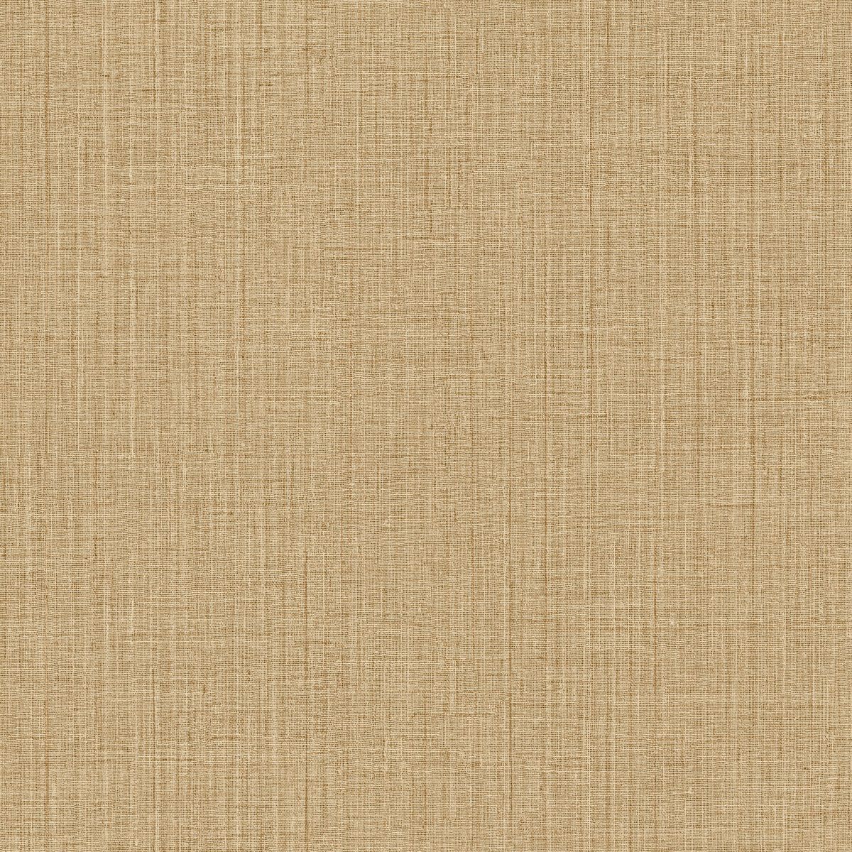 Lanzea — Camel