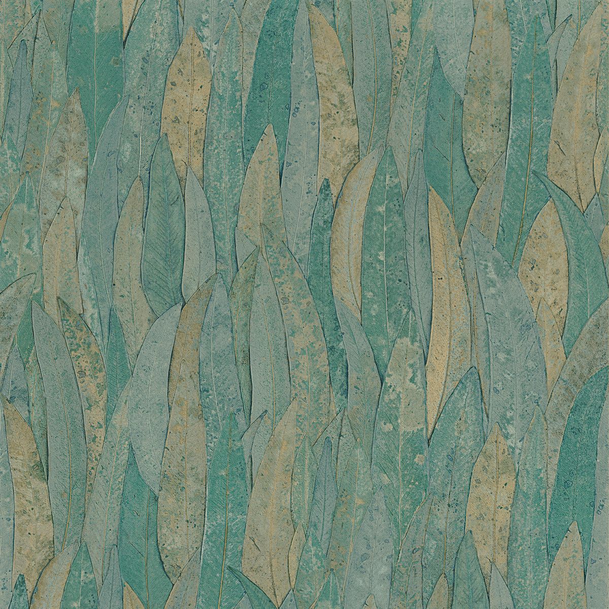 Golfe Du Bengale — Eucalyptus