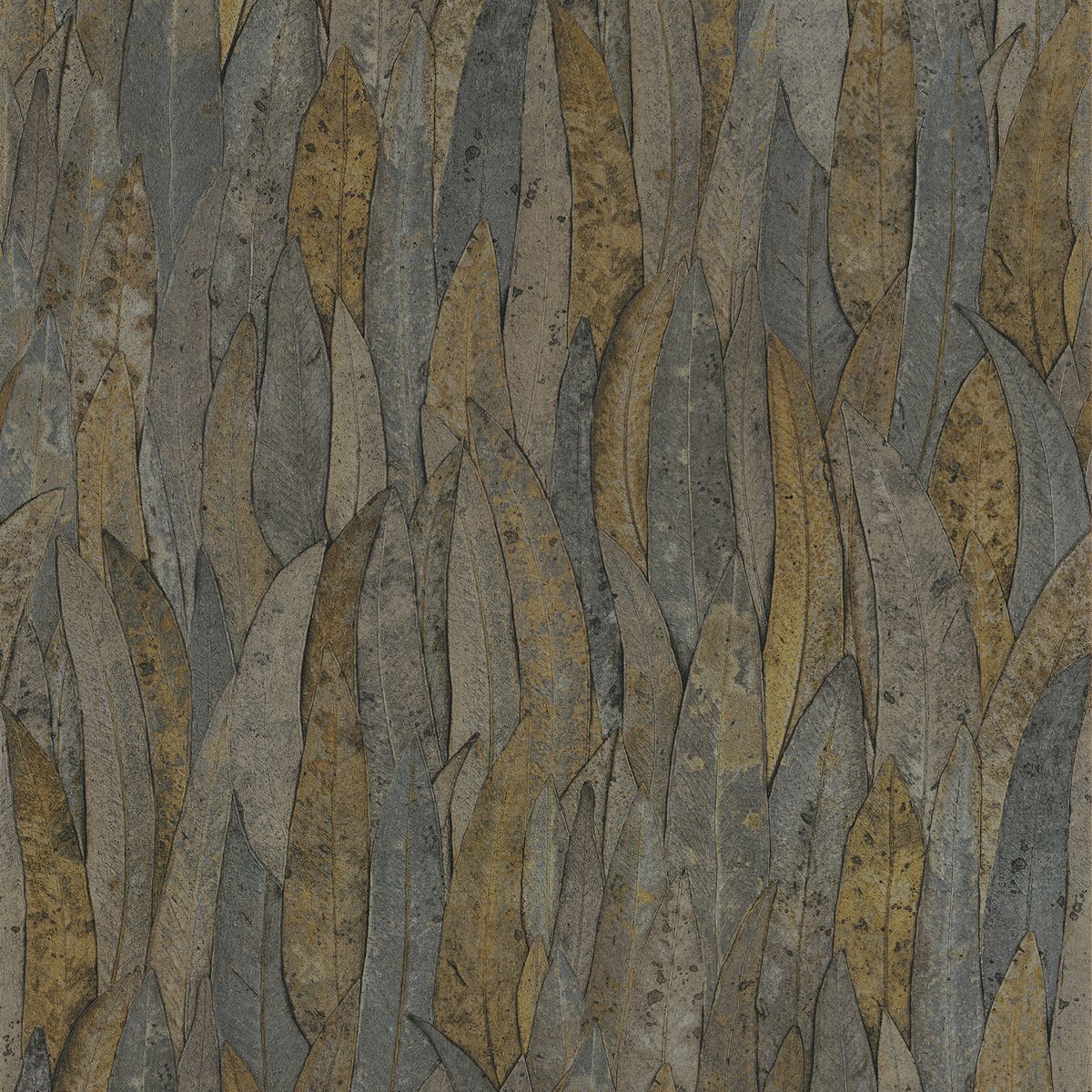 Golfe Du Bengale — Graphite