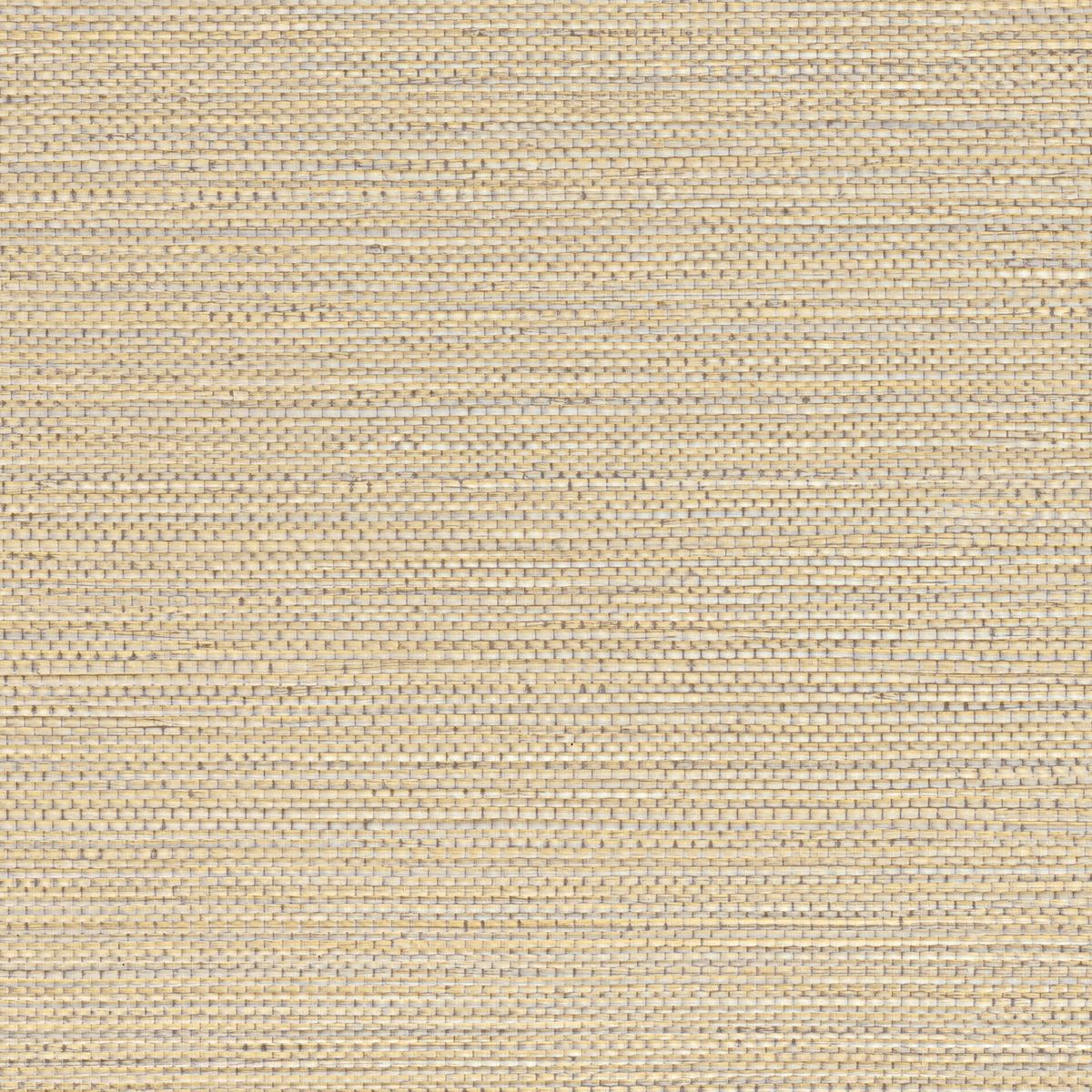 Golfe Du Bengale — Sand