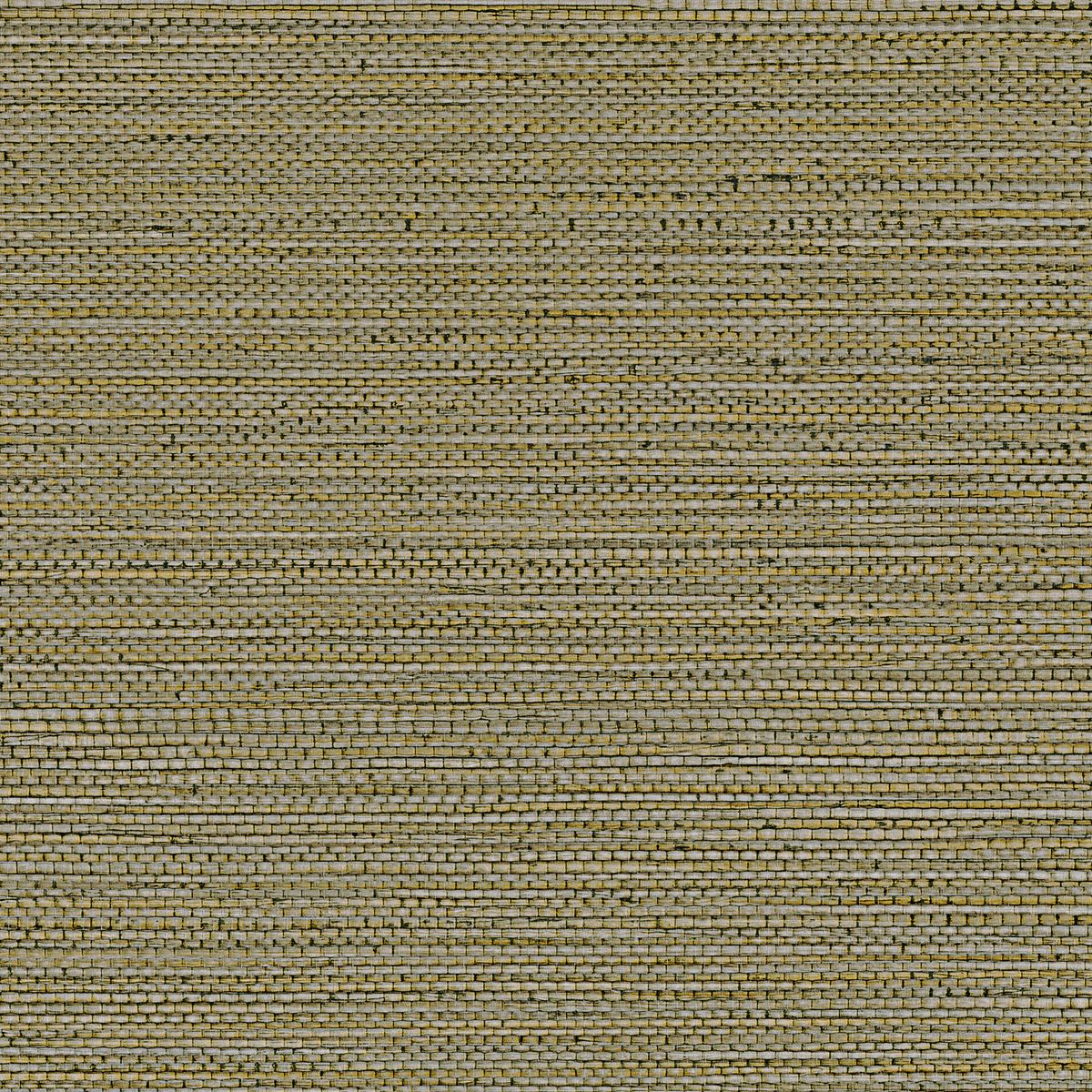 Golfe Du Bengale — Olive