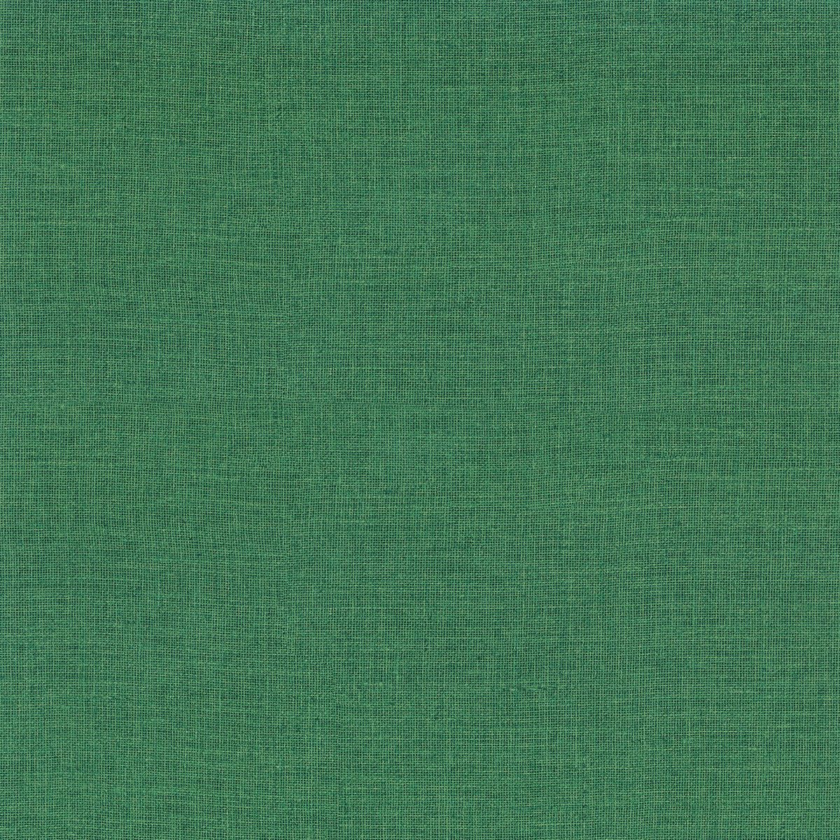 Casa Azul — Moss