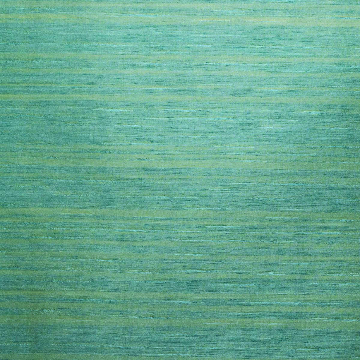 Midori — Eucalyptus