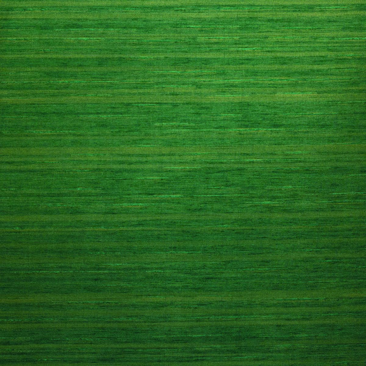 Midori — Moss