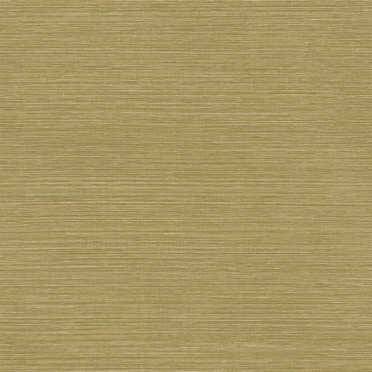 Racines — Camel