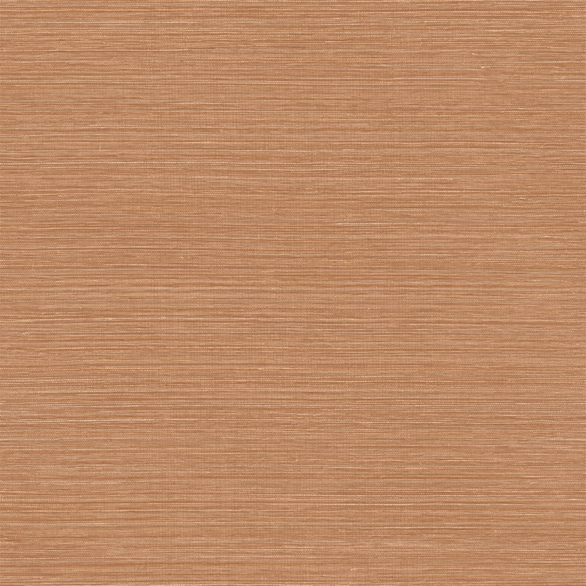 Racines — Camel