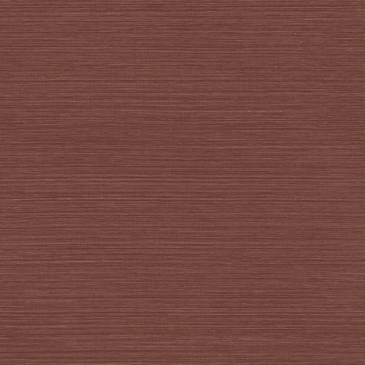 Racines — Chocolate