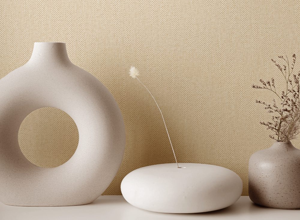 Ammazonia collection