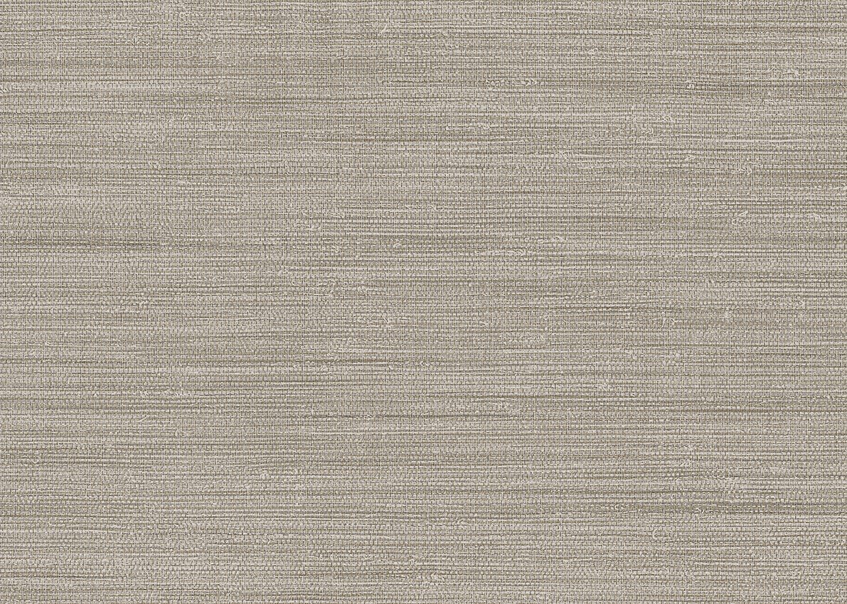 Ammazonia — Stone