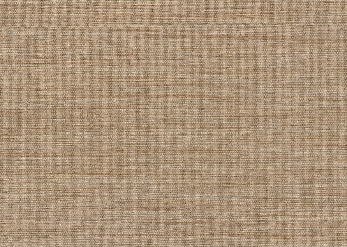 Ammazonia — Taupe